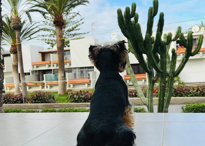 Tenbelsol Appartement